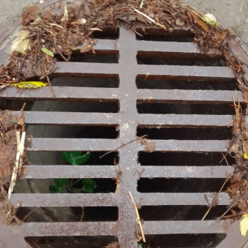 Behind Easterner Lines resource speculation in québec